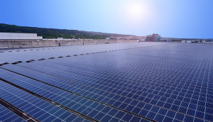 中美硅晶与yl23411永利集团携手战略合作